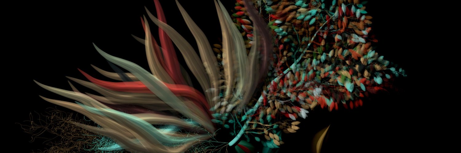 jjventrella's profile banner image