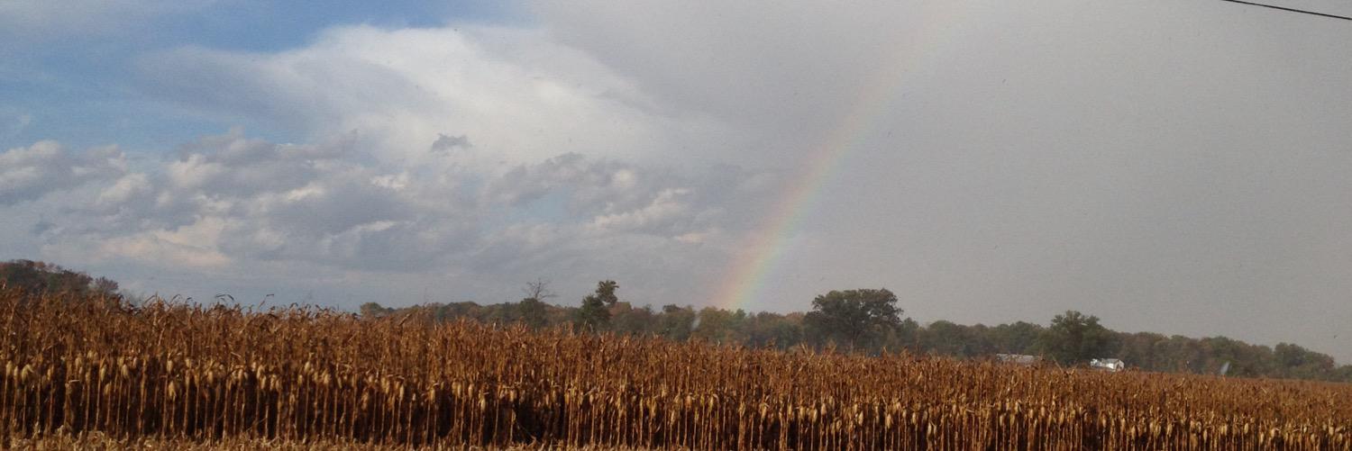 BrownyTheOne's profile banner image