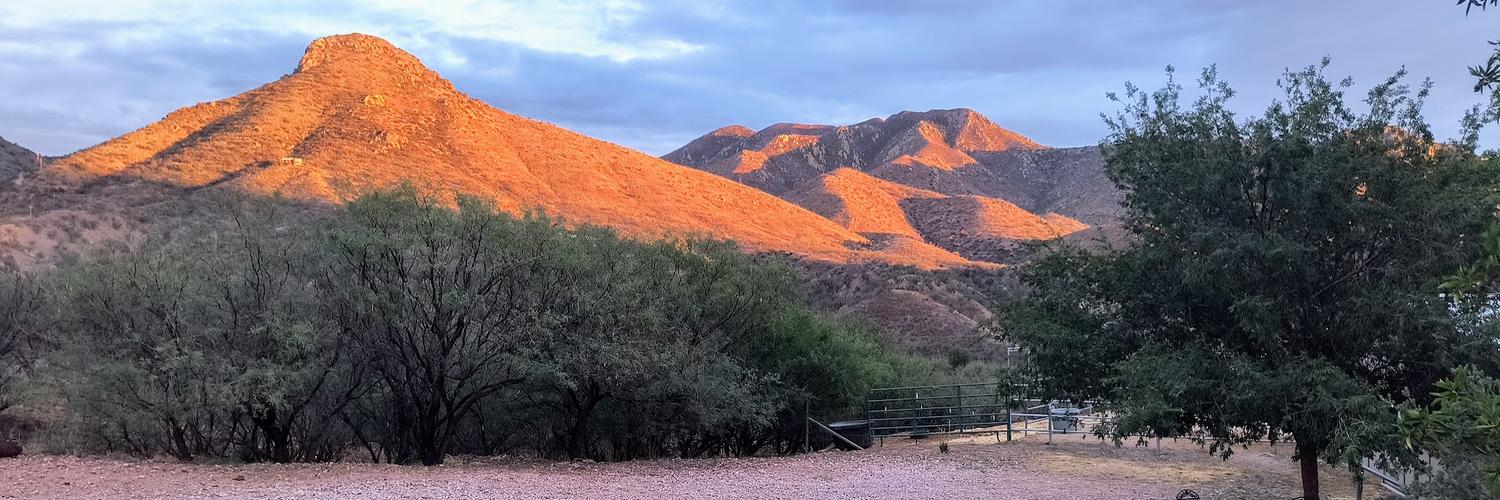 🌵 | 🌴Mark M. Willaman banner