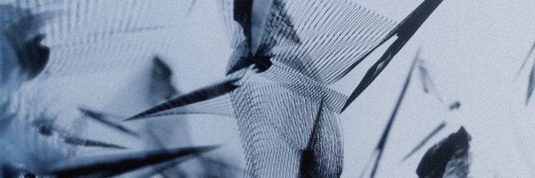 jivdontexist Profile Banner