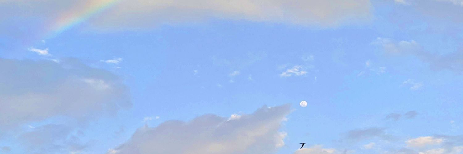 Nyxalion's profile banner image