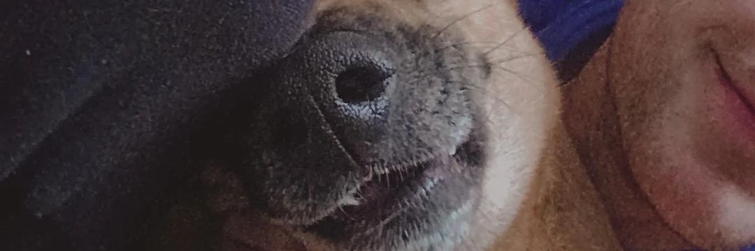 Iacha7's profile banner image