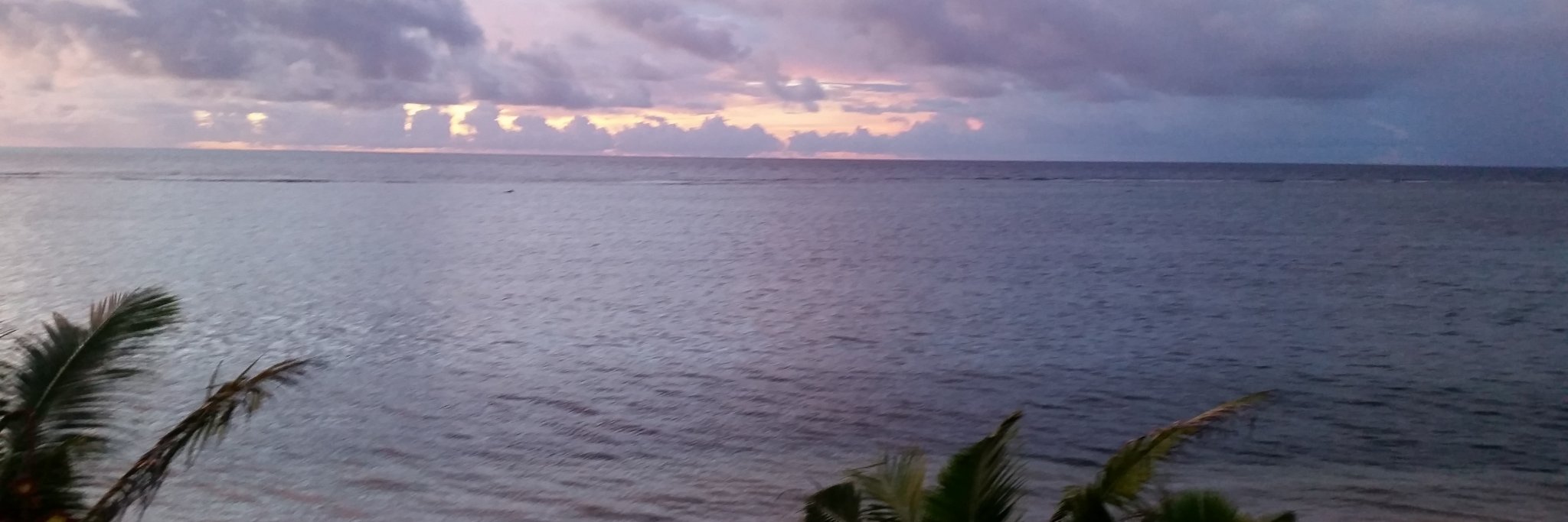LalichMD's profile banner image