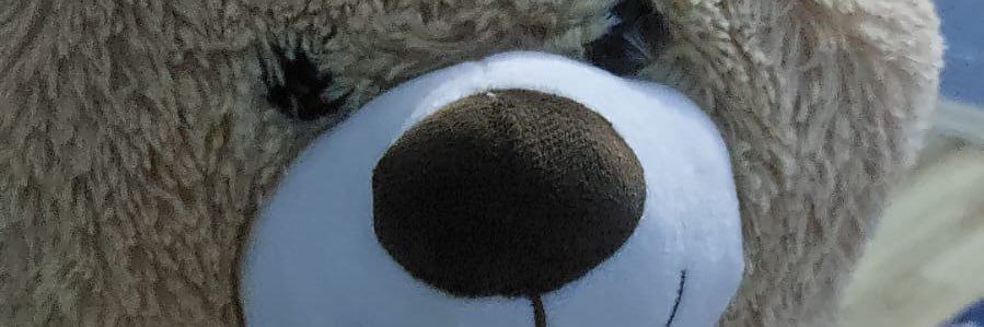 🏴‍☠️🏴‍☠️ banner