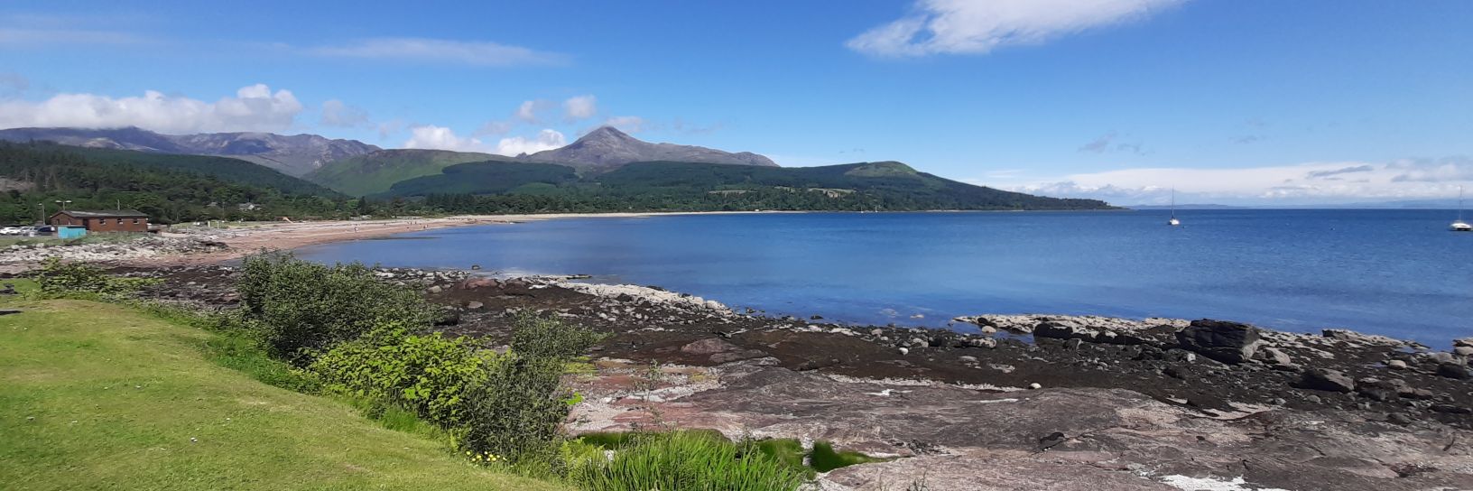 Andrea Fallon banner