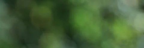 Carol Kali Yuga banner