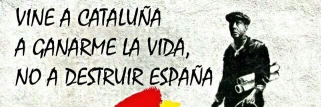 Guillem Bosch i Roca banner