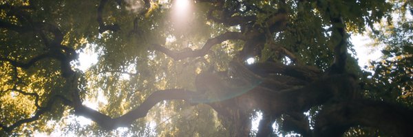 Ini35taIsr43l Profile Banner