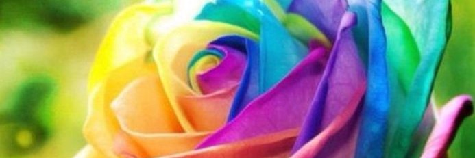 nat_man_dude's profile banner image