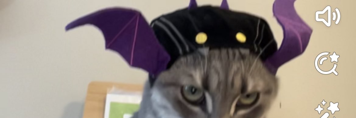 phnixness's profile banner image