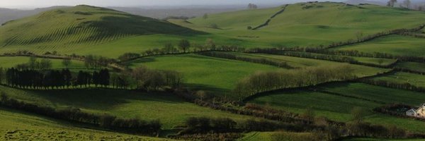 BirdwatchMeath Profile Banner