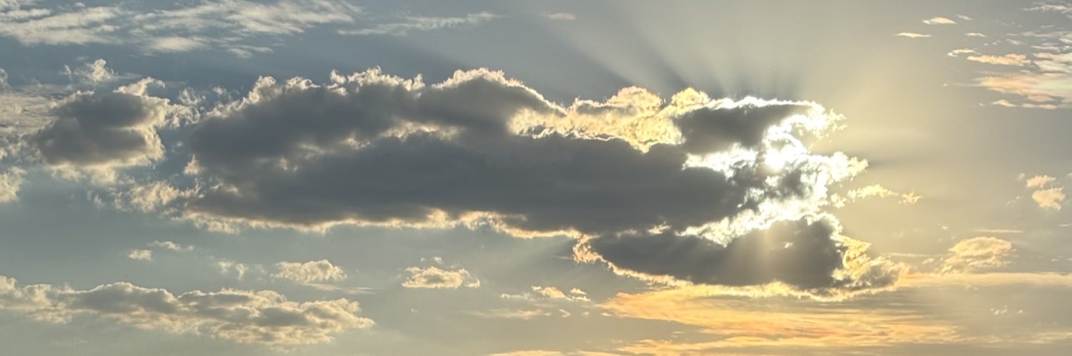 stefibrooke's profile banner image