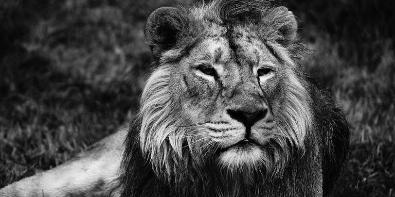 richkur's profile banner image