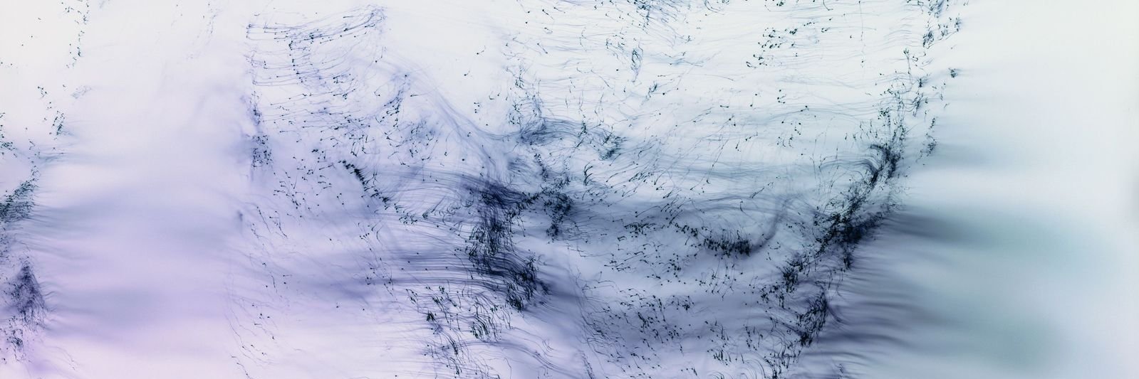 Frederic Hanusch banner