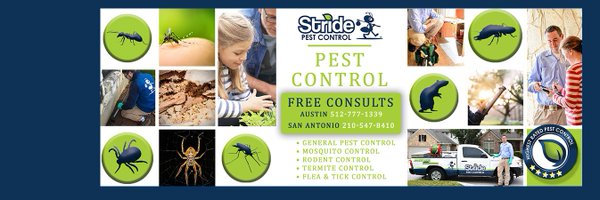 stridepest Profile Banner