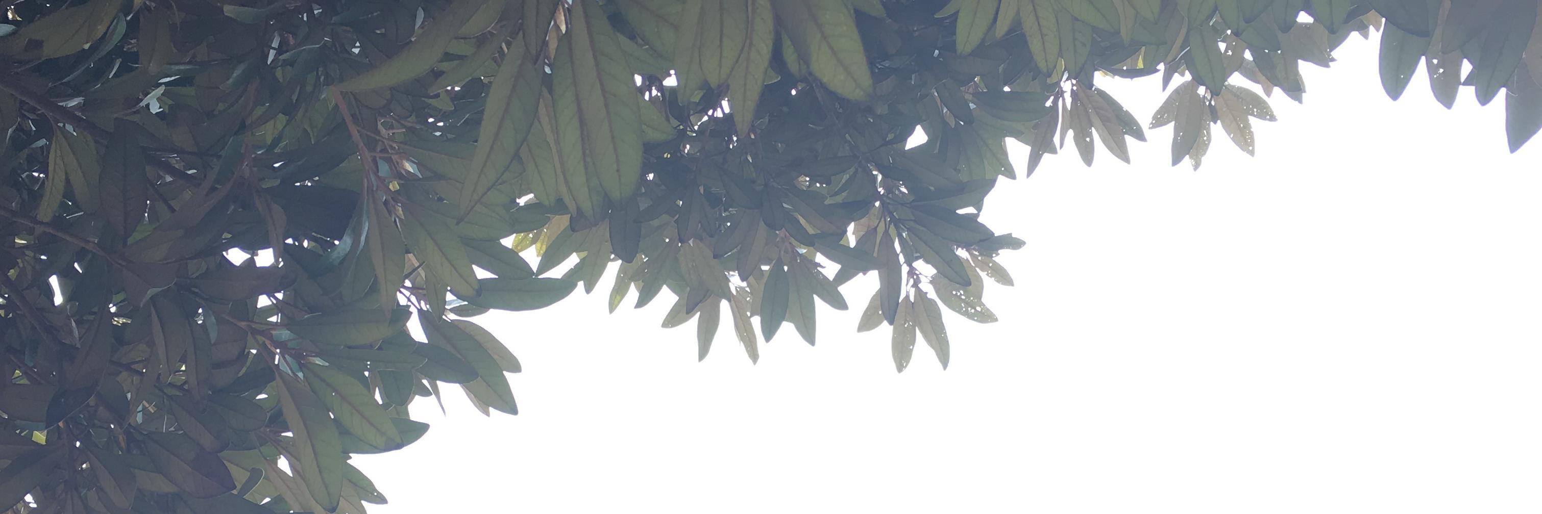 joypia00's profile banner image