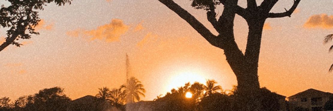 arynmichelle❤️ banner
