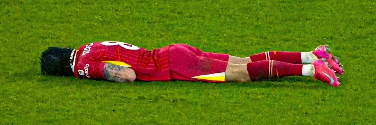 ×͜× 𝖗𝖔𝖊𝖒 banner