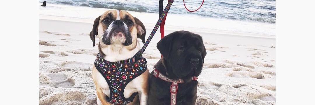 Eric Slonaker banner