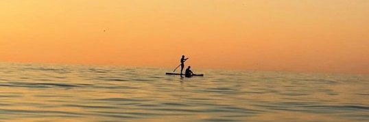 Gülyüz 💐 banner