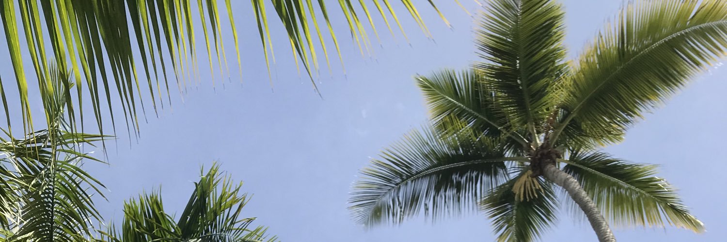 rxnxw's profile banner image