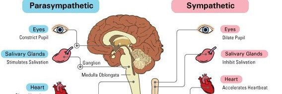 Antisymphathist banner