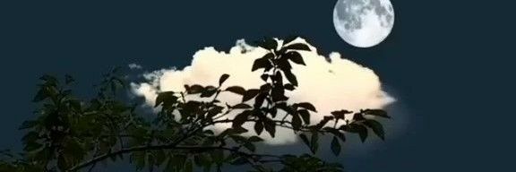 helena_adia's profile banner image