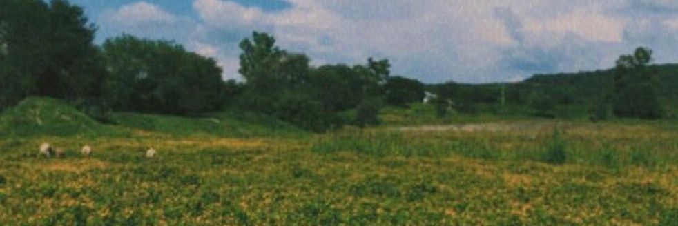Luijmebot's profile banner image