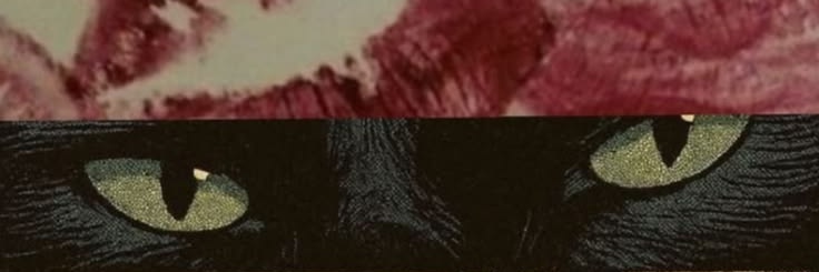 siaasai's profile banner image