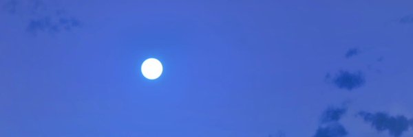 fortayee Profile Banner