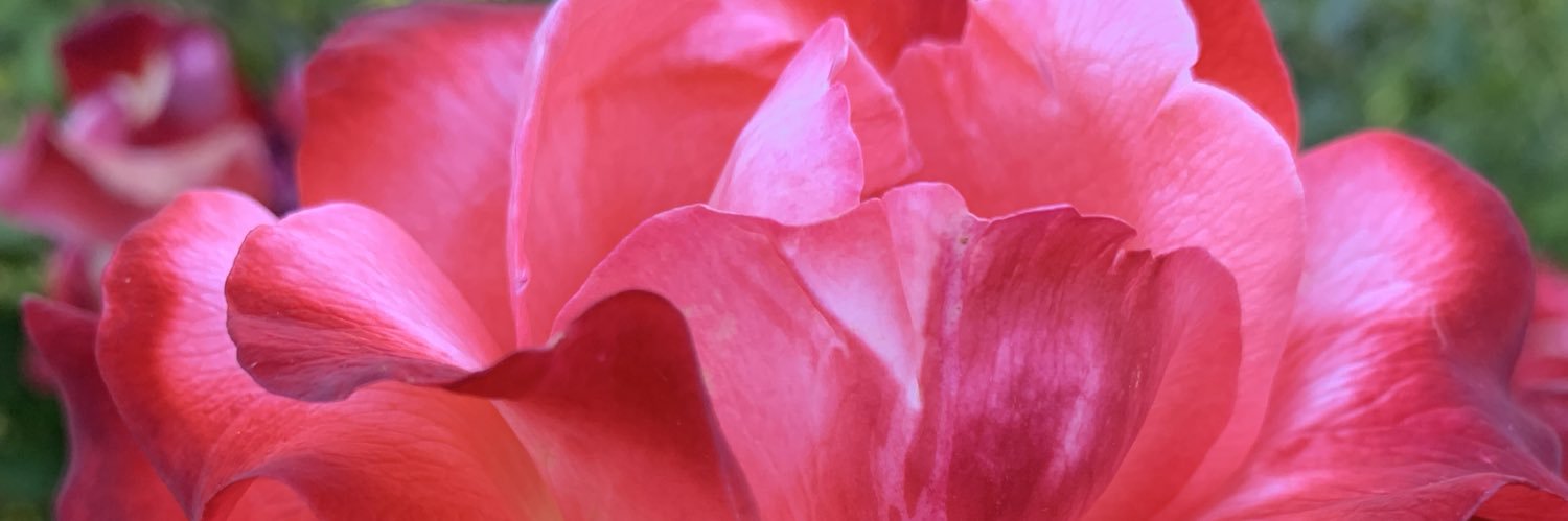 _Ruffinnnn_'s profile banner image