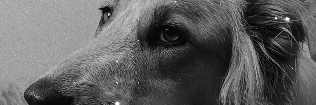 AgostinaaaY's profile banner image