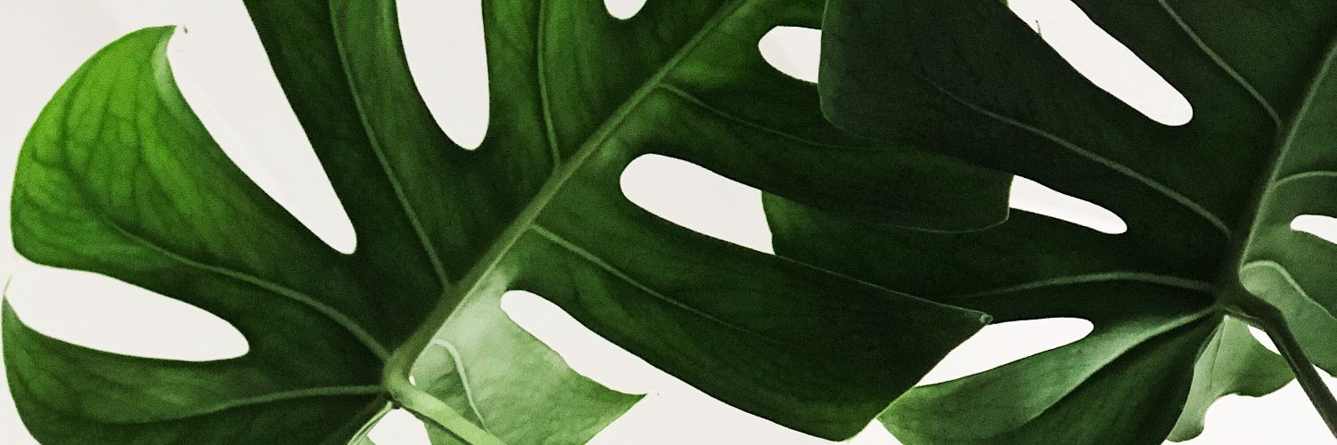 Justin H. banner