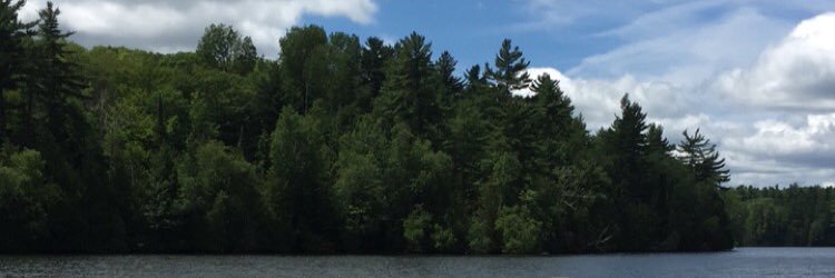 lindsnickerson's profile banner image