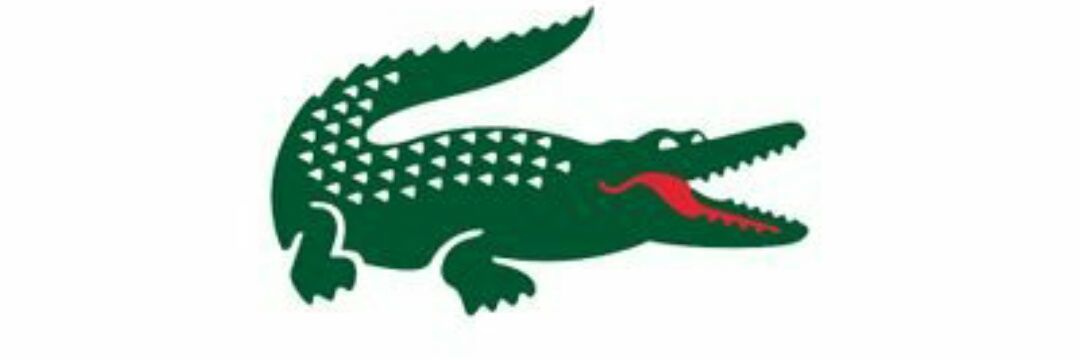 Micky3Quid 🏴󠁧󠁢󠁥󠁮󠁧󠁿 banner