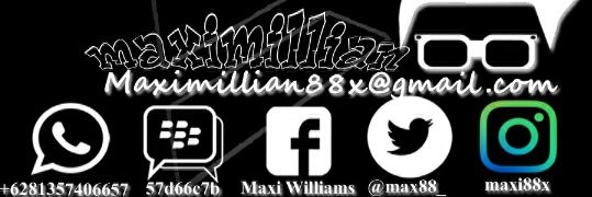 maxi88x🐬TermMax banner