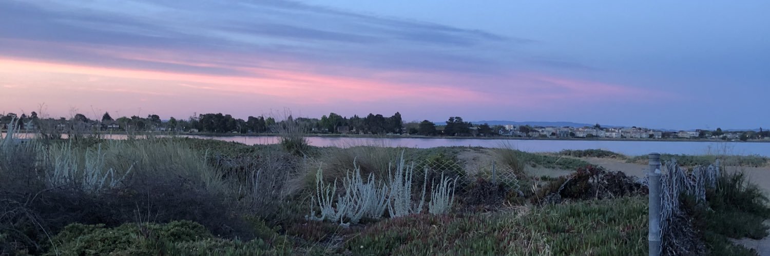 Kodandi is at the beach 🏝️ banner