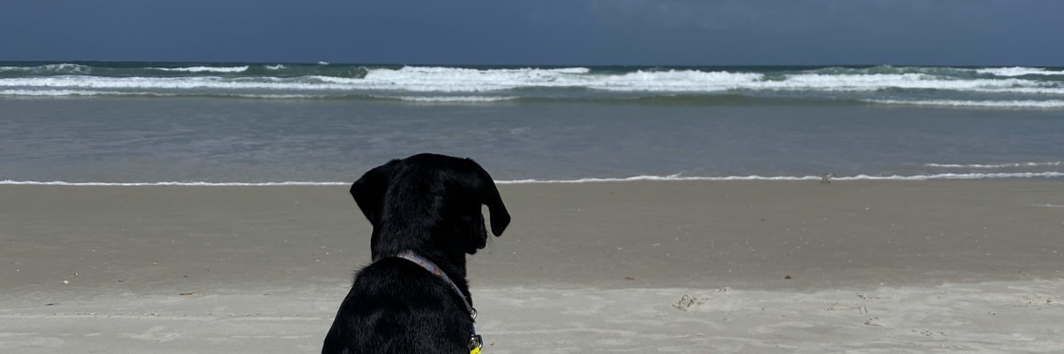Annie Collins banner