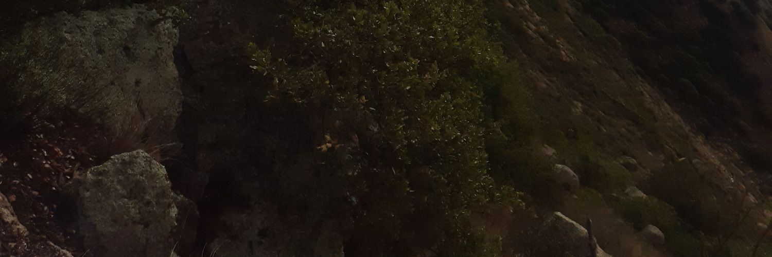 jonathanescval's profile banner image