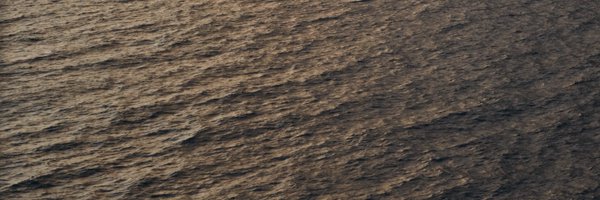 virginia Profile Banner