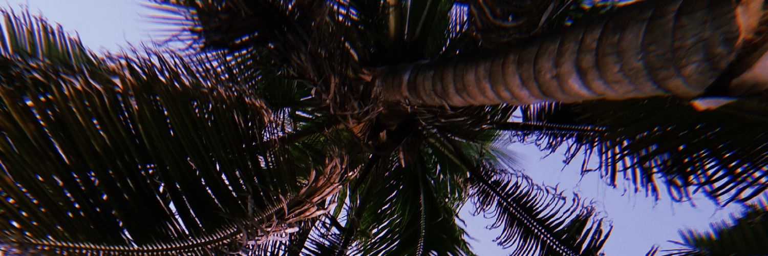 Yamaridz's profile banner image