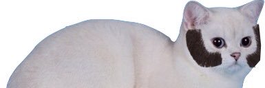 ADeliciousJelliedEel banner