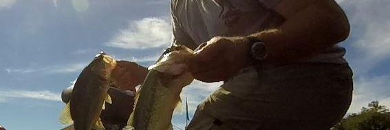 malarikfishing's profile banner image