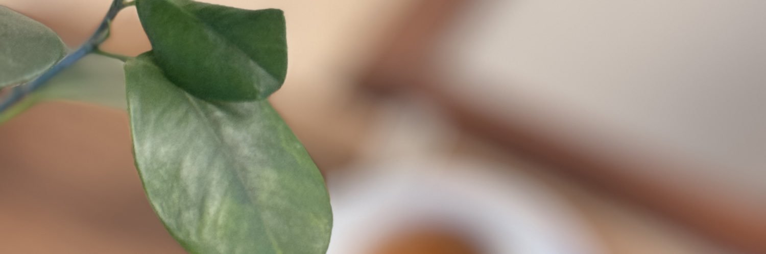 khlied01's profile banner image