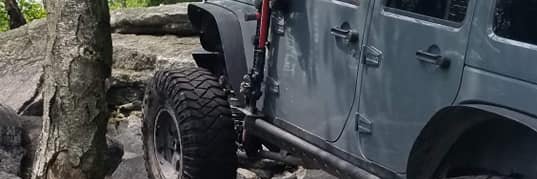 WFH..... with doggos banner