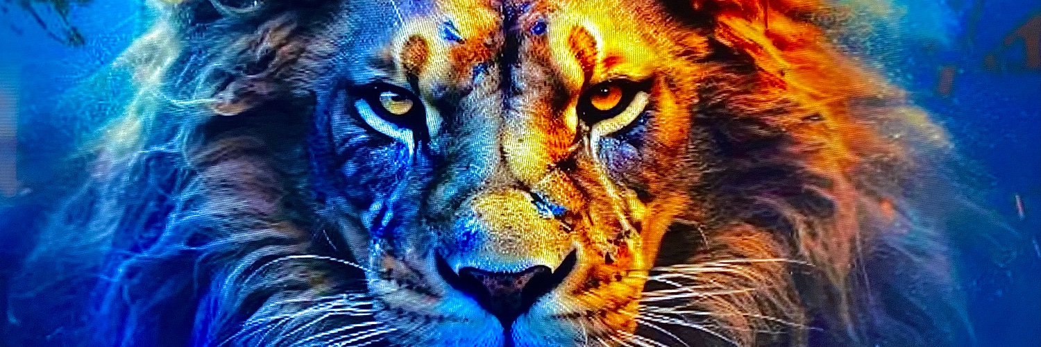 RaizelMusic's profile banner image