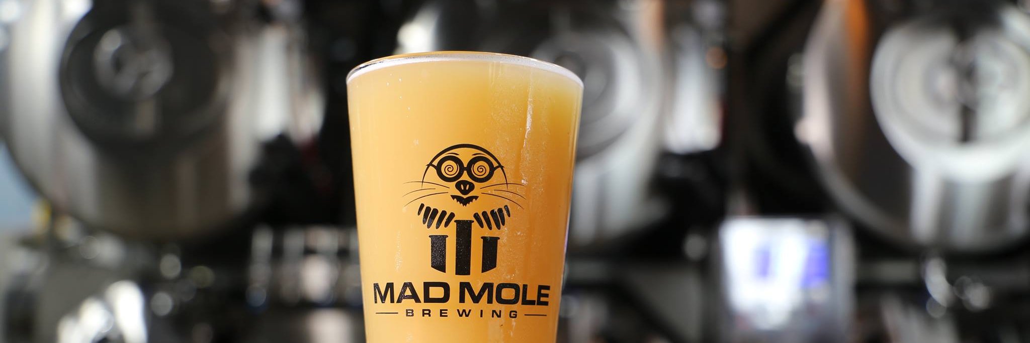 Mad Mole Brewing banner