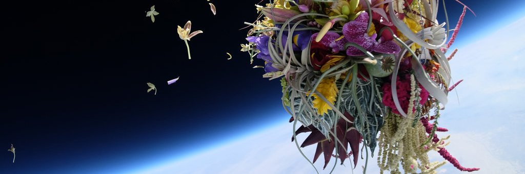amandamork's profile banner image