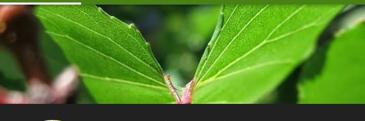 oyeitsmk's profile banner image