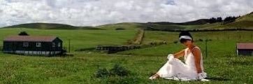 tomochin0509's profile banner image